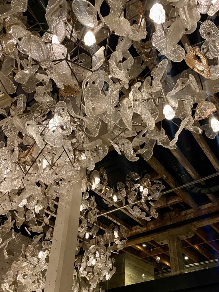 Kingi chandelier - night out in britomart