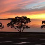 Top 10 Shore Excursions in Auckland, New Zealand